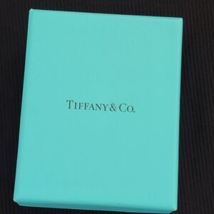 TIFFANY & CO. NECKLACE